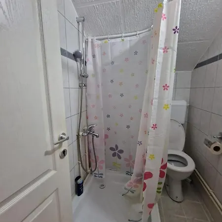 Studio Petrovac 公寓 彼得罗瓦茨纳米拉维