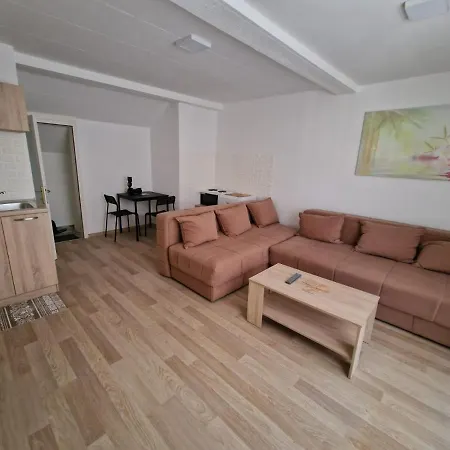 公寓 Studio Petrovac 彼得罗瓦茨纳米拉维