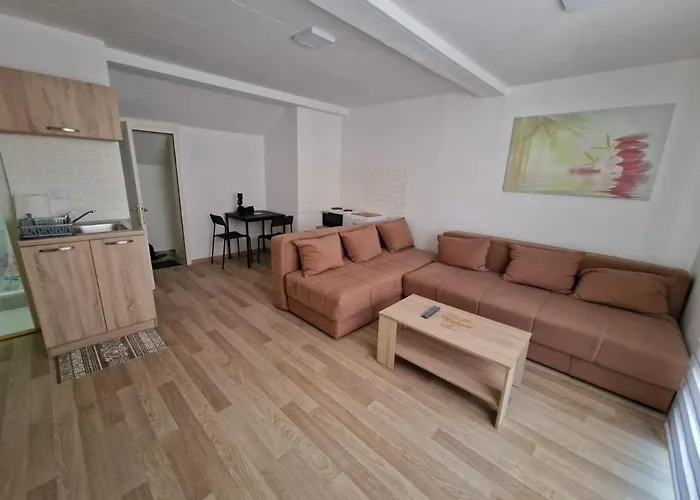 公寓 Studio Petrovac 彼得罗瓦茨纳米拉维