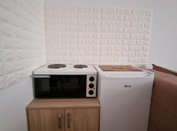 公寓 Studio Petrovac